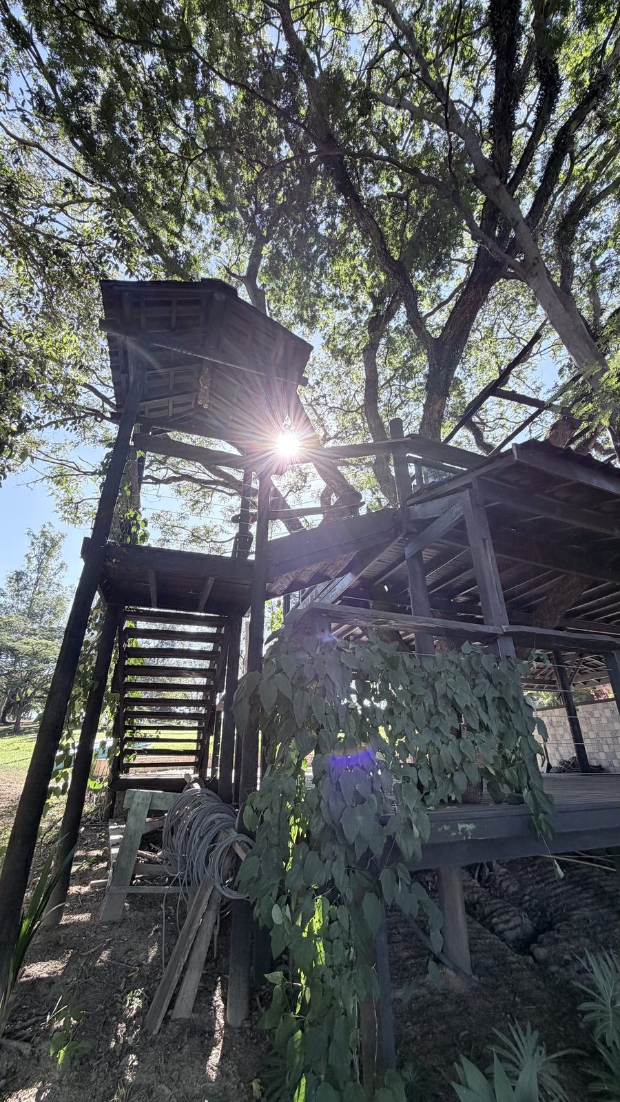Casa na árvore da Reserva do Areião