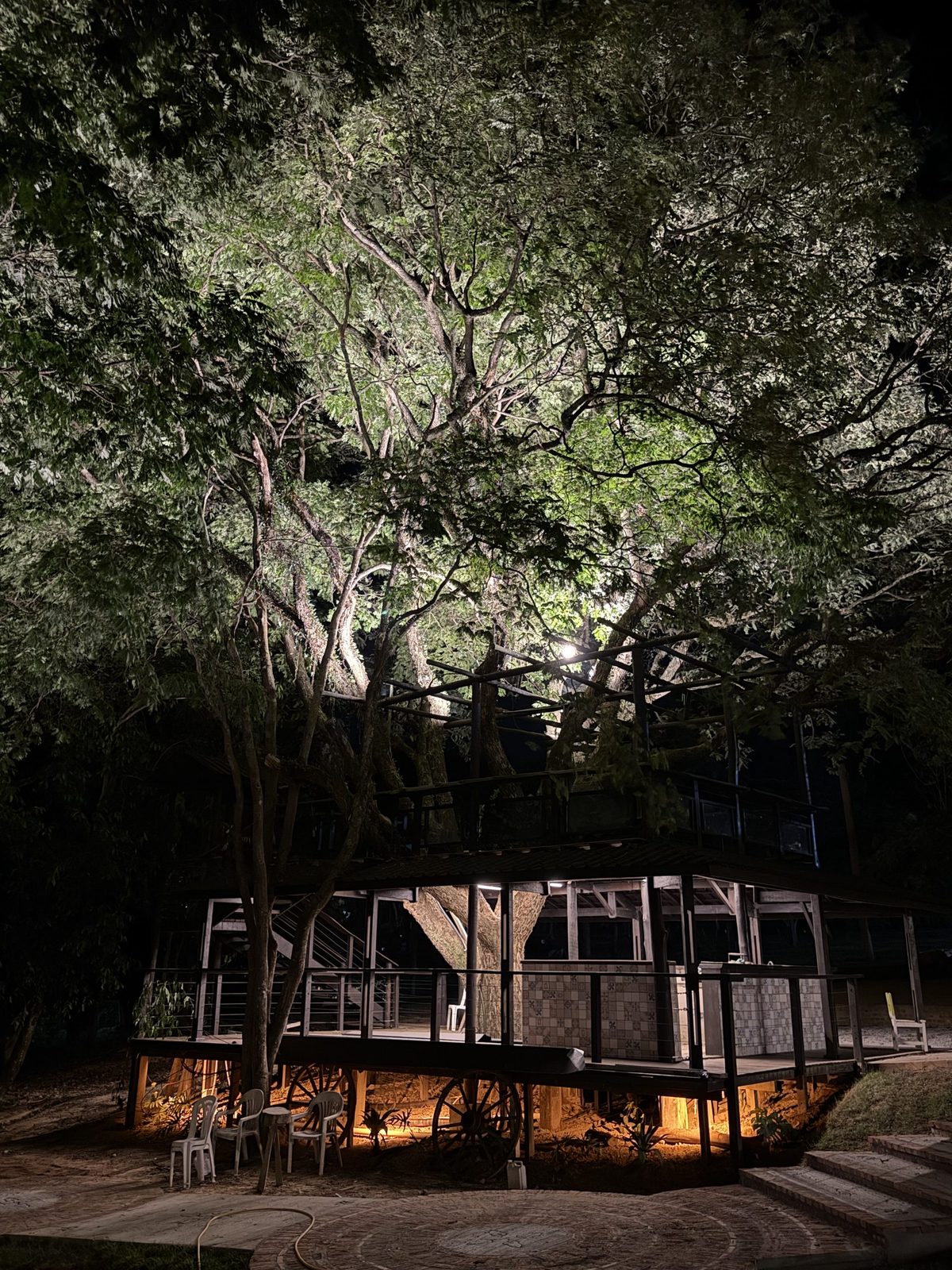 Casa iluminada à noite sob a árvore