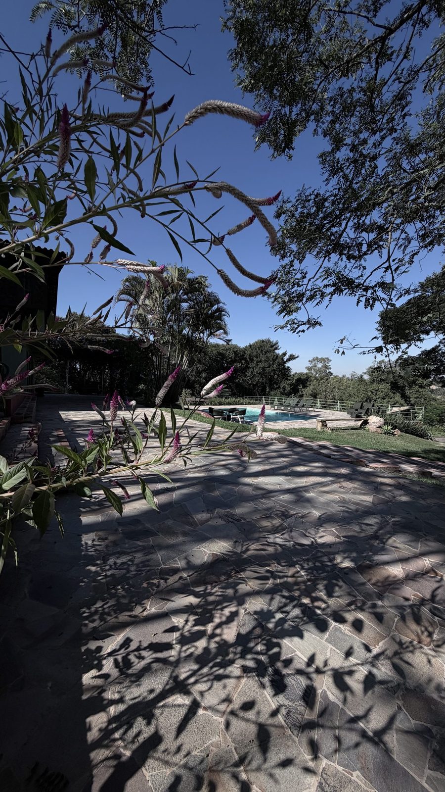 Pergolado de cerimônia em piso de tijolinho cercado pelo jardim
